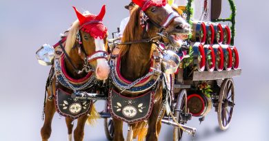 150 Jahre Ehingen (18.05.-21.05.) 150 Jahre Ehingen (18.05.-21.05.)