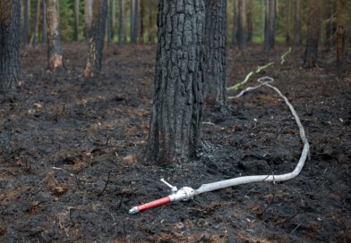 Großflächiger Waldbrand bei Wolframs-Eschenbach – Rund 200 Kräfte im Einsatz